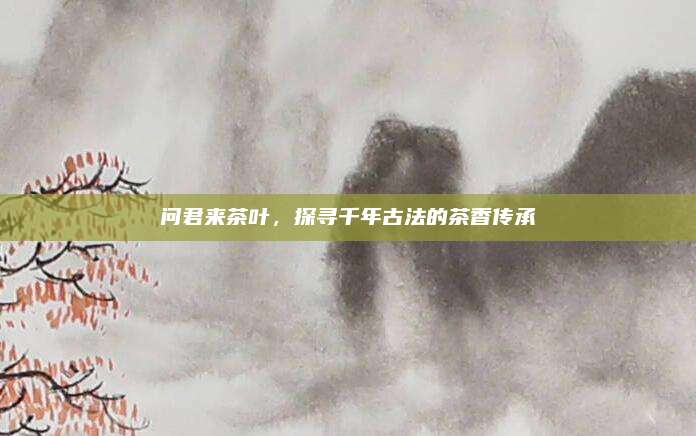 问君来茶叶,探寻千年古法的茶香传承