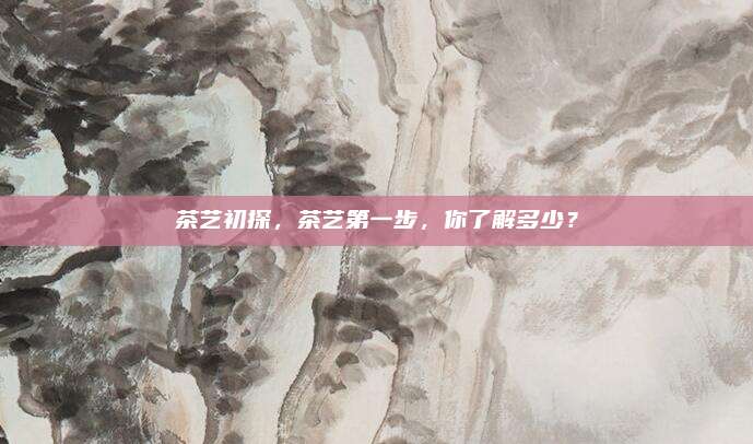 茶艺初探，茶艺第一步，你了解多少？