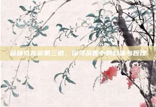品味乌龙茶第三道，探寻茶香中的韵味与哲理