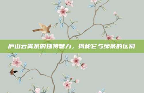 庐山云雾茶的独特魅力，揭秘它与绿茶的区别
