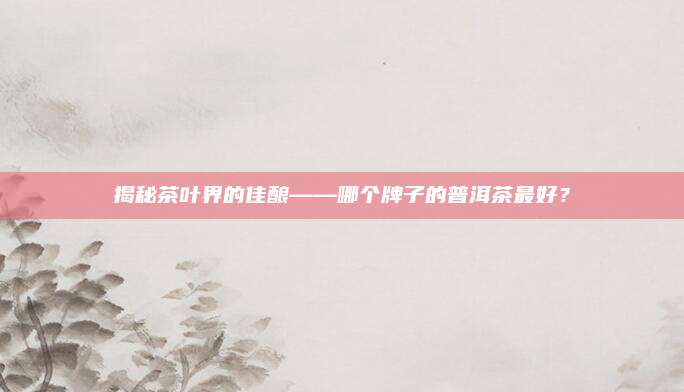 揭秘茶叶界的佳酿——哪个牌子的普洱茶最好？