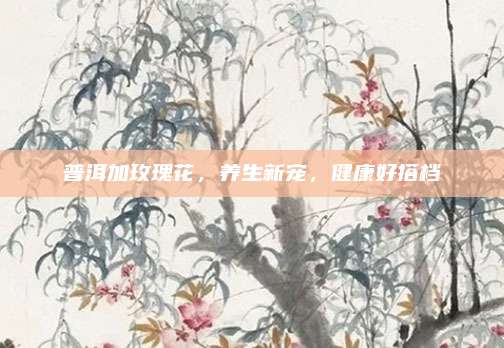 普洱加玫瑰花，养生新宠，健康好搭档