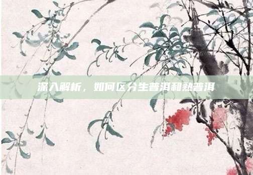 深入解析，如何区分生普洱和熟普洱