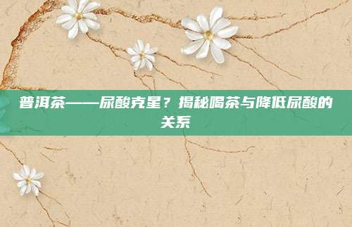 普洱茶——尿酸克星？揭秘喝茶与降低尿酸的关系