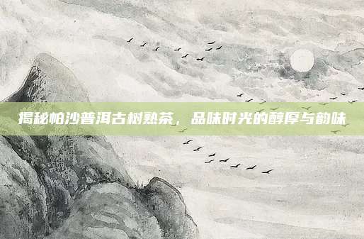 揭秘帕沙普洱古树熟茶，品味时光的醇厚与韵味