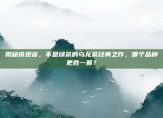 揭秘铁观音,不是绿茶的乌龙茶经典之作,哪个品种更胜一筹?