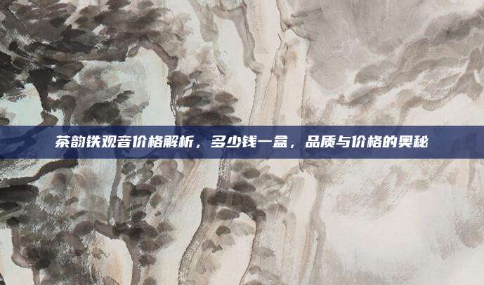 茶韵铁观音价格解析,多少钱一盒,品质与价格的奥秘