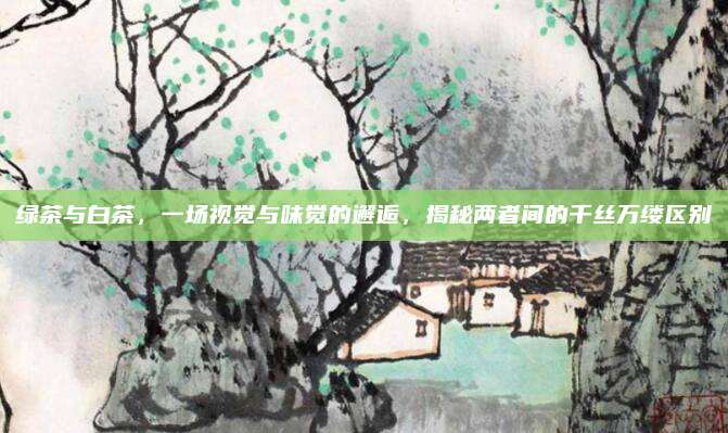 绿茶与白茶,一场视觉与味觉的邂逅,揭秘两者间的千丝万缕区别
