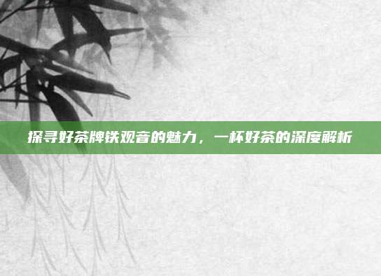 探寻好茶牌铁观音的魅力,一杯好茶的深度解析