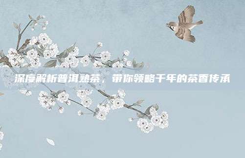 深度解析普洱熟茶,带你领略千年的茶香传承