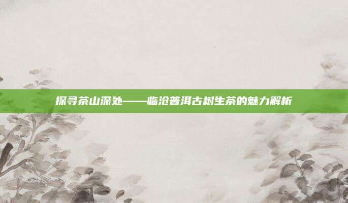 探寻茶山深处——临沧普洱古树生茶的魅力解析