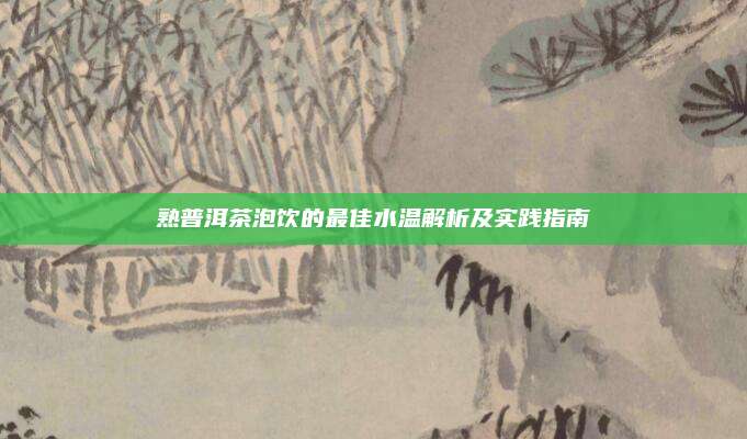 熟普洱茶泡饮的最佳水温解析及实践指南