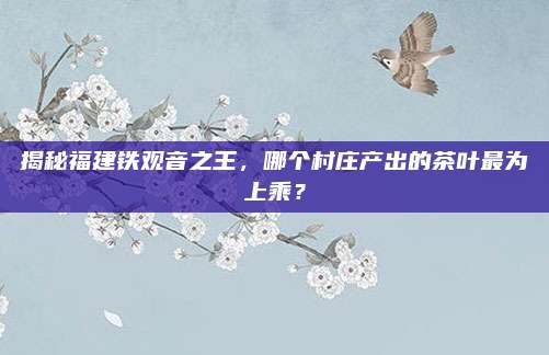 揭秘福建铁观音之王,哪个村庄产出的茶叶最为上乘?