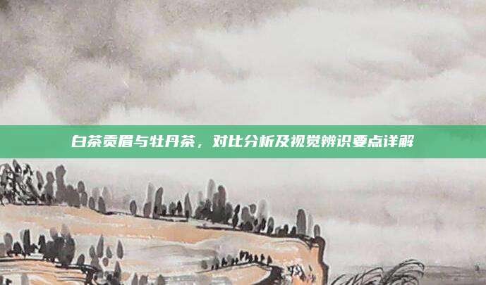 白茶贡眉与牡丹茶,对比分析及视觉辨识要点详解