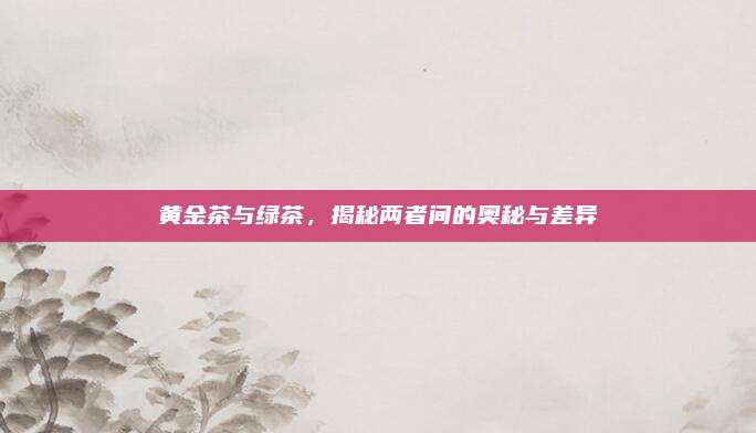 黄金茶与绿茶,揭秘两者间的奥秘与差异
