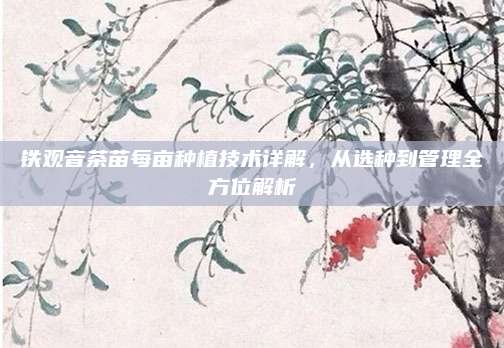 铁观音茶苗每亩种植技术详解,从选种到管理全方位解析
