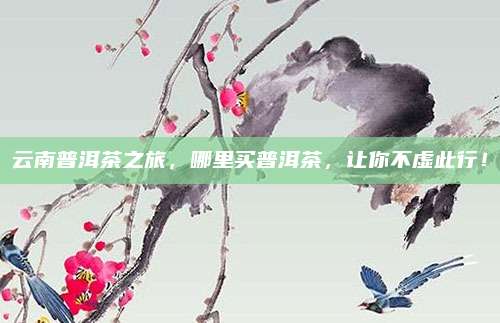 云南普洱茶之旅，哪里买普洱茶，让你不虚此行！