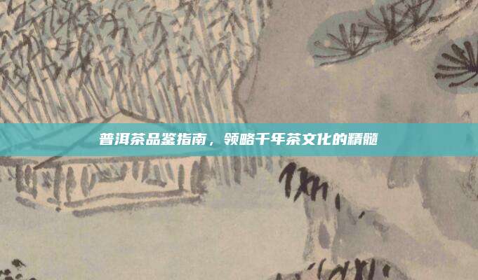 普洱茶品鉴指南,领略千年茶文化的精髓
