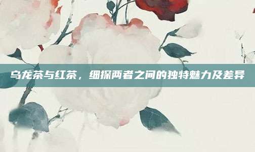 乌龙茶与红茶，细探两者之间的独特魅力及差异