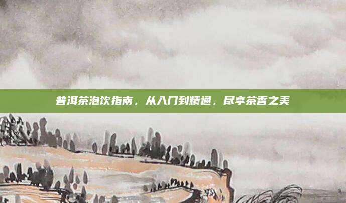 普洱茶泡饮指南，从入门到精通，尽享茶香之美