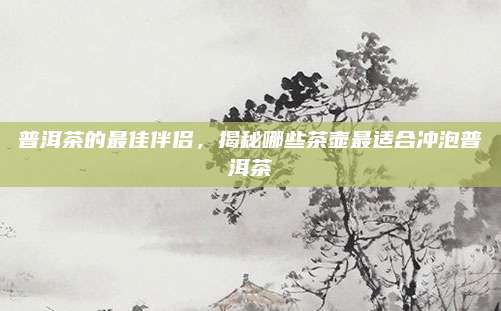 普洱茶的最佳伴侣，揭秘哪些茶壶最适合冲泡普洱茶