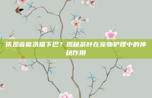 铁观音能洗猫下巴？揭秘茶叶在宠物护理中的神秘作用