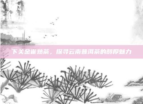 下关金雀熟茶，探寻云南普洱茶的醇厚魅力