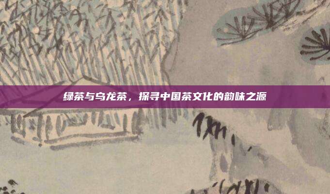 绿茶与乌龙茶，探寻中国茶文化的韵味之源
