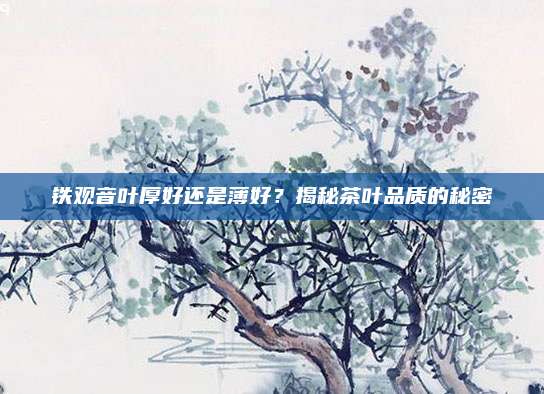铁观音叶厚好还是薄好？揭秘茶叶品质的秘密