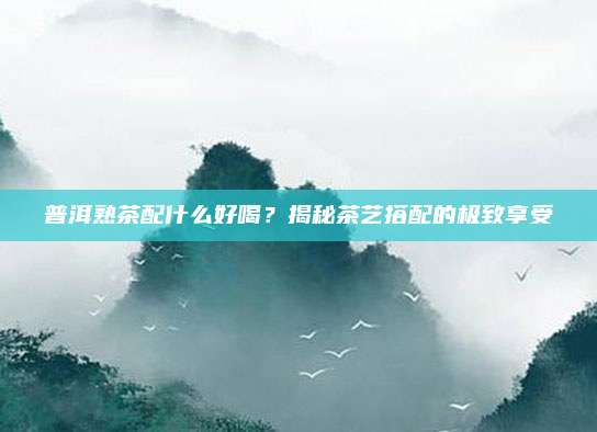 普洱熟茶配什么好喝？揭秘茶艺搭配的极致享受
