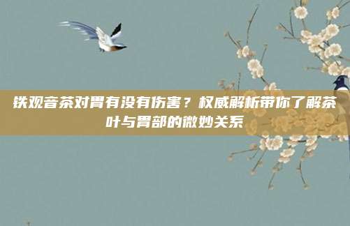 铁观音茶对胃有没有伤害？权威解析带你了解茶叶与胃部的微妙关系