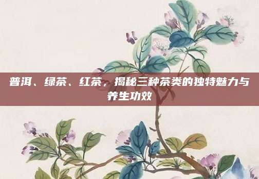 普洱、绿茶、红茶，揭秘三种茶类的独特魅力与养生功效