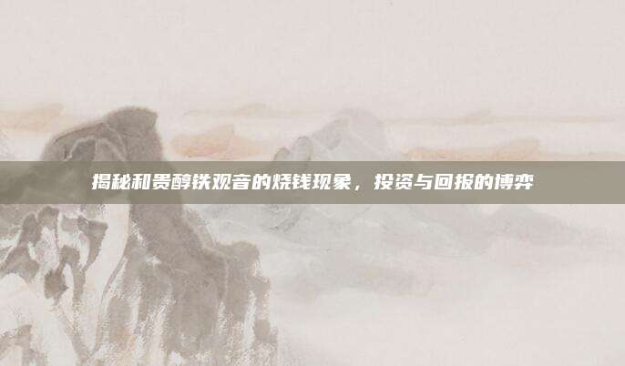 揭秘和贵醇铁观音的烧钱现象，投资与回报的博弈