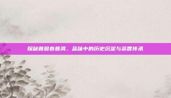 探秘普园春普洱,品味中的历史沉淀与茶香传承