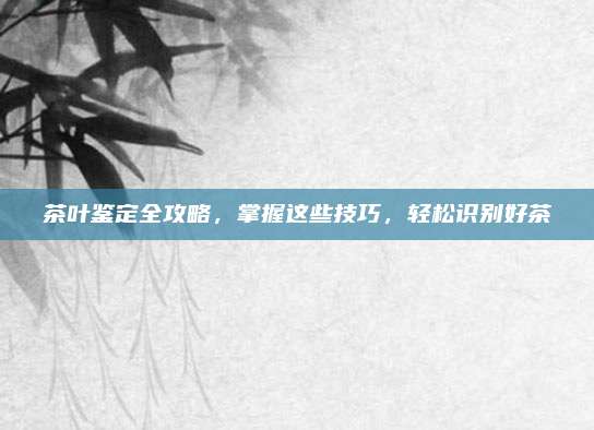 茶叶鉴定全攻略，掌握这些技巧，轻松识别好茶