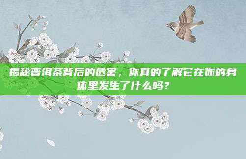 揭秘普洱茶背后的危害,你真的了解它在你的身体里发生了什么吗?