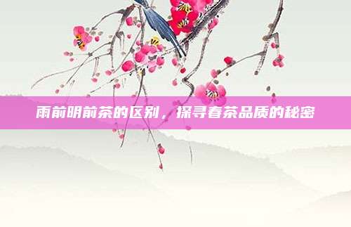 雨前明前茶的区别，探寻春茶品质的秘密