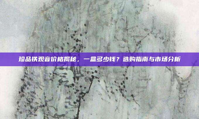 珍品铁观音价格揭秘,一盒多少钱?选购指南与市场分析