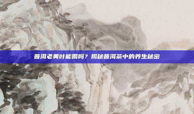 普洱老黄叶能喝吗?揭秘普洱茶中的养生秘密
