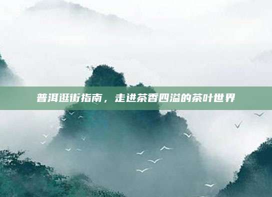 普洱逛街指南，走进茶香四溢的茶叶世界