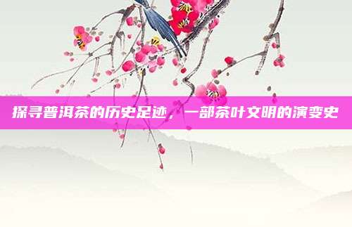 探寻普洱茶的历史足迹，一部茶叶文明的演变史