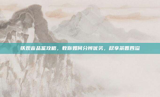 铁观音品鉴攻略，教你如何分辨优劣，尽享茶香四溢