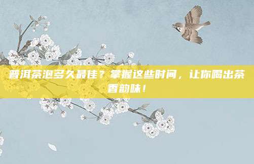 普洱茶泡多久最佳？掌握这些时间，让你喝出茶香韵味！