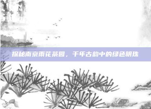 探秘南京雨花茶园,千年古韵中的绿色明珠
