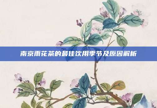 南京雨花茶的最佳饮用季节及原因解析