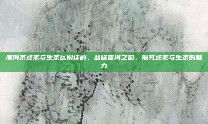 浦洱茶熟茶与生茶区别详解，品味普洱之韵，探究熟茶与生茶的魅力