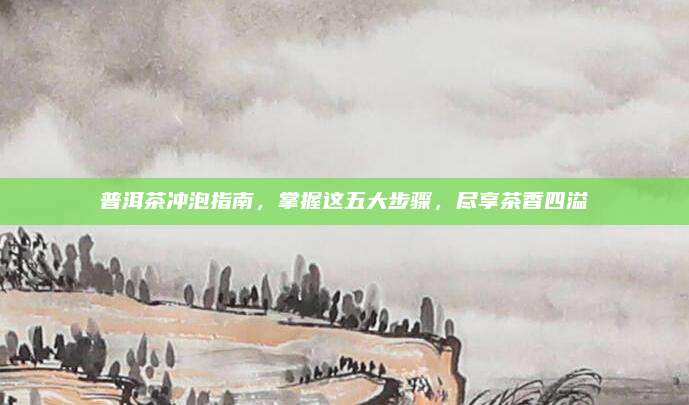 普洱茶冲泡指南,掌握这五大步骤,尽享茶香四溢