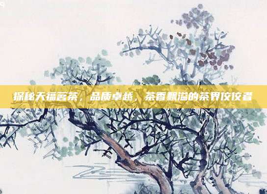 探秘天福茗茶,品质卓越,茶香飘溢的茶界佼佼者