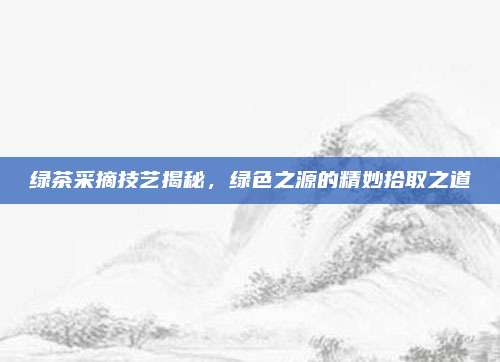 绿茶采摘技艺揭秘,绿色之源的精妙拾取之道