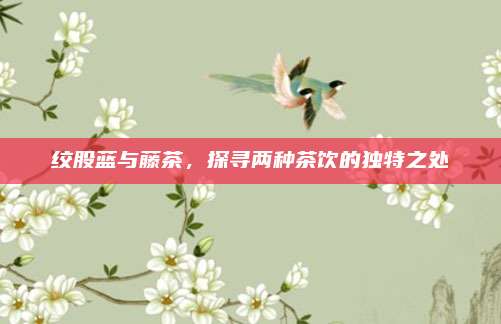 绞股蓝与藤茶,探寻两种茶饮的独特之处